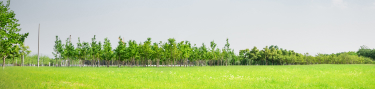 Changan